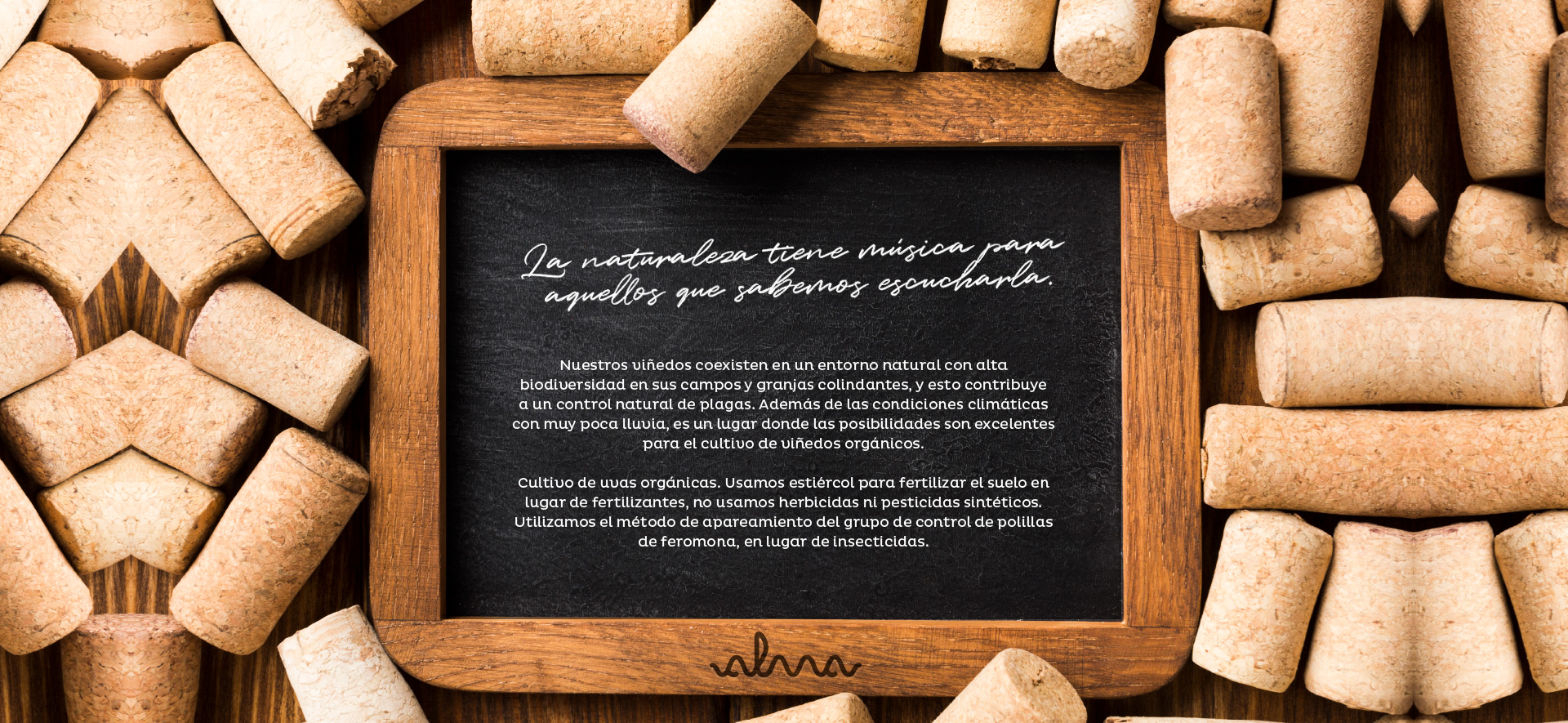 ALMA Organic Wines Contacto
